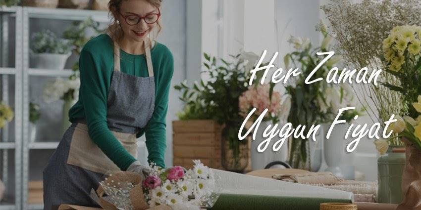 Ankara Çiçek   Ankara Çiçek Yazılımı