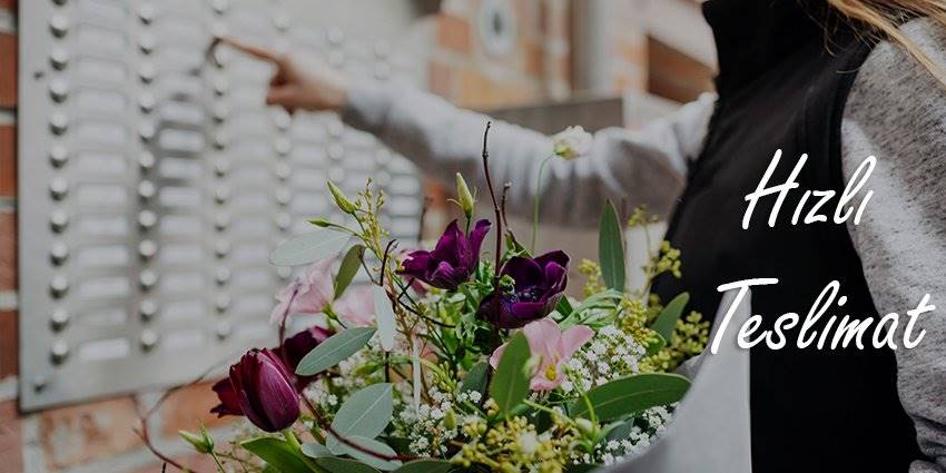 Ankara Çiçek   Ankara Çiçek Yazılımı