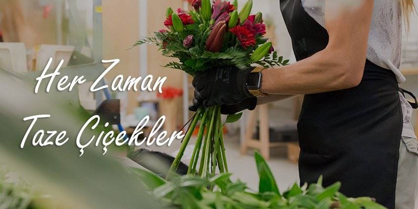 Ankara Çiçek   Ankara Çiçek Yazılımı