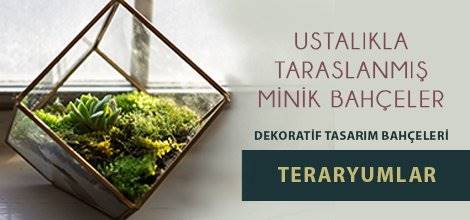 Ankara Çiçek   Ankara Çiçek Yazılımı